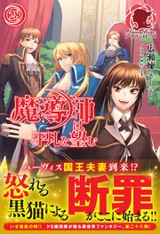魔導師は平凡を望む 28