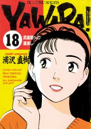 YAWARA！ 完全版 デジタル Ver. 18