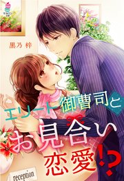 エリート御曹司とお見合い恋愛！？