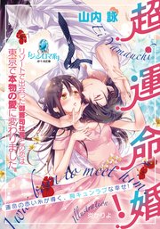 超・運命婚! リゾートで出会った御曹司社長との恋は東京で本物の愛に変わりました。