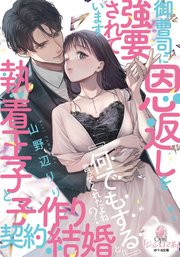 御曹司に恩返しを強要されています 執着王子と子作り契約結婚