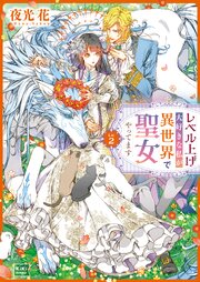 レベル上げ大好きな私が異世界で聖女やってます Lv.2