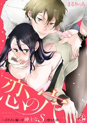 恋の穴 ～イケメン嫌いが紳士なSに堕ちた夜～ 3巻