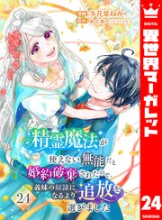 精霊魔法が使えない無能だと婚約破棄されたので、義妹の奴隷になるより追放を選びました 24