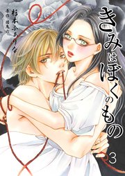 きみはぼくのもの 第三巻 淑女とピンヒール