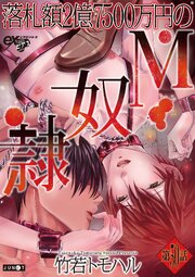 落札額2億7500万円のM奴隷