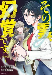 その霊、幻覚です。