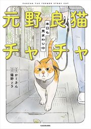 元野良猫チャチャ 本日も見まわり中