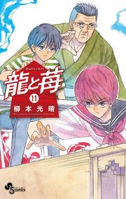 龍と苺 11
