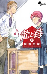 龍と苺 28