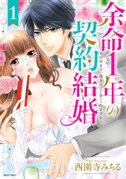 余命1年の契約結婚 その日まで、抱き尽くしてくれますか?