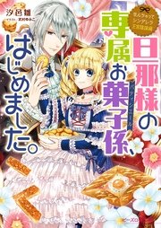 なんちゃってシンデレラ 王宮陰謀編　旦那様の専属お菓子係、はじめました。