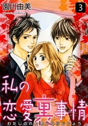 私の恋愛裏事情 3巻