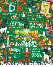 LDK 2020年12月号
