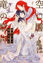 空に響くは竜の歌声（14）黄昏に立つ緋色の竜王＜電子限定＋書店限定かきおろし付＞【イラスト入り】