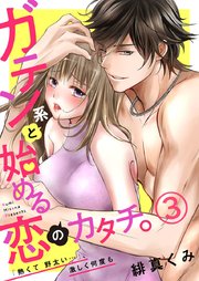 ガテン系と始める恋のカタチ。～「熱くて野太い…」、激しく何度も～ 3巻
