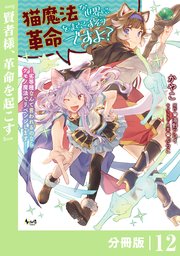 猫魔法が世界に革命を起こすそうですよ？【分冊版】（ノヴァコミックス）12