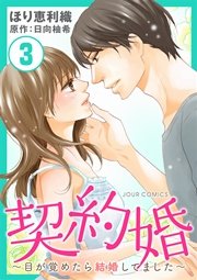 契約婚～目が覚めたら結婚してました～ 3巻