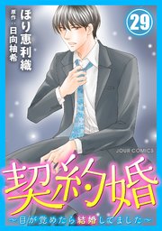 契約婚～目が覚めたら結婚してました～ 29巻