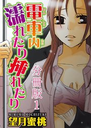 電車内濡れたり挿れたり