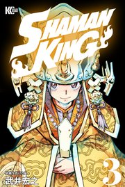 SHAMAN KING（3）