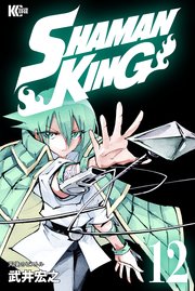 SHAMAN KING（12）