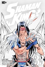 SHAMAN KING（33）