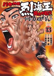バキ外伝 烈海王は異世界転生しても一向にかまわんッッ 13