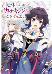 転生しました、サラナ・キンジェです。ごきげんよう。　～優雅なスローライフで大忙し～３【電子書店共通特典イラスト付】