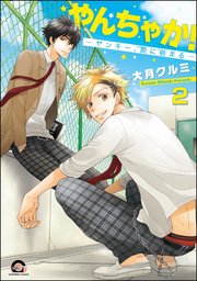 やんちゃか！─ヤンキー、罠に嵌まる─（分冊版） 【第2話】