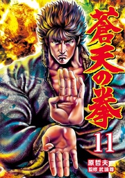 蒼天の拳 11巻