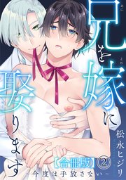 兄を嫁に娶ります～今度は手放さない～合冊版2