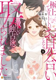 極上エリートとお見合いしたら、激しい独占欲で娶られました 俺様上司と性癖が一致しています3