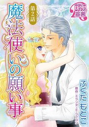 魔法使いの願い事2
