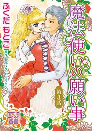 魔法使いの願い事3