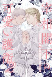 宰相閣下の可愛い護衛２【７】