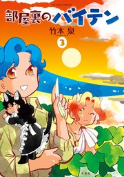 部屋裏のバイテン 3巻