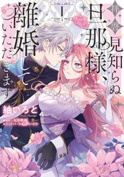 拝啓見知らぬ旦那様、離婚していただきます 表紙