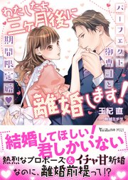 わたしたち、三ヶ月後に離婚します！～パーフェクト御曹司と期間限定婚～