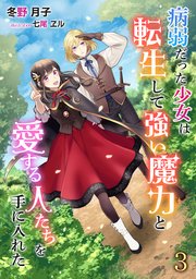 病弱だった少女は転生して強い魔力と愛する人たちを手に入れた（3）
