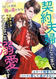 契約夫婦はここまで、この先は一生溺愛です～エリート御曹司はひたすら愛して逃がさない～【極甘婚シリーズ】【SS付き】