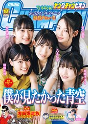 ヤングチャンピオン 2023年17号