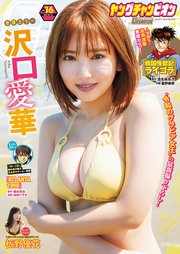 ヤングチャンピオン 2024年16号