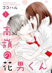 高嶺の花男くん 【合冊版】 表紙