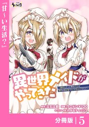 異世界メイドがやってきた～異邦人だった頃のメイドが現代の我が家でエッチなメイドさんに～【分冊版】（ノヴァコミックス）5