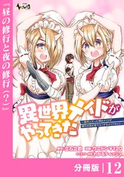 異世界メイドがやってきた～異邦人だった頃のメイドが現代の我が家でエッチなメイドさんに～【分冊版】（ノヴァコミックス）12