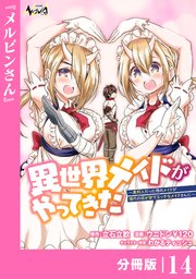 異世界メイドがやってきた～異邦人だった頃のメイドが現代の我が家でエッチなメイドさんに～【分冊版】（ノヴァコミックス）14