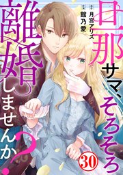 旦那サマ、そろそろ離婚しませんか？30