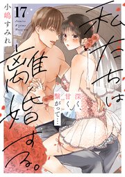 私たちは離婚する。深く、甘く、繋がって… 17巻