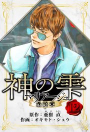 マリアージュ ～神の雫 最終章～　愛蔵版　12